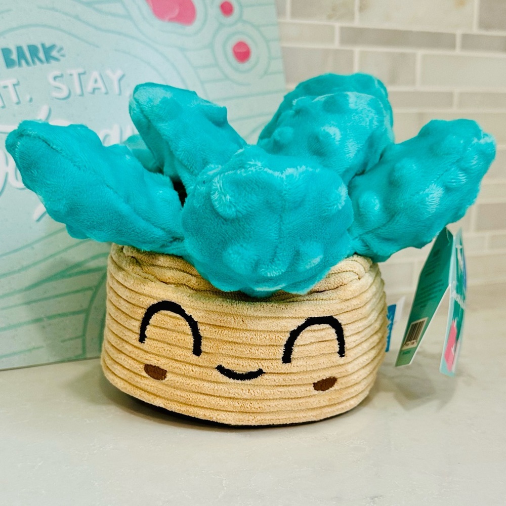 🪴 NWT Bark Box Squeakulent Dog Toy Succulent Plant Plush Squeaker Large